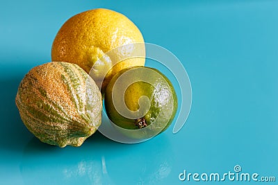 Citrus fruits on cian background Stock Photo