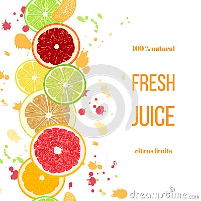 Citrus fruits fresh juice. Bergamot, lemon, grapefruit, lime, mandarin, pomelo, orange, blood orange with splashes Vector Illustration