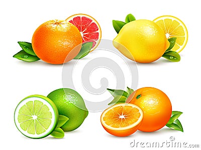 Citrus Fruits 4 Realistic Icons Set Vector Illustration