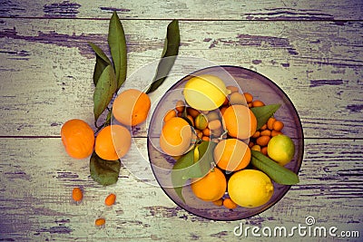 Citrus fruits view from above Stock Photo