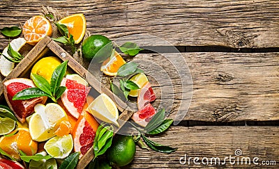 Citrus - grapefruit, orange, tangerine, lemon, lime in an old box. Stock Photo