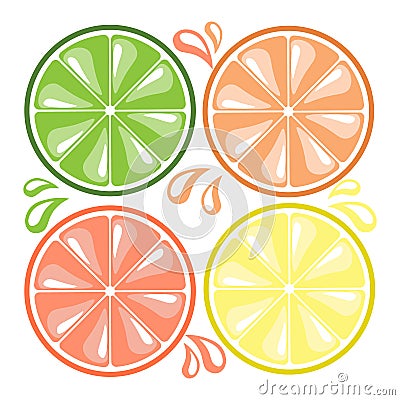 Citrus illustration. Lemons, oranges, limes, grapefruits, slices and drops of juice. Vector Illustration