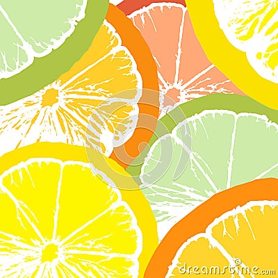 Citrus juice slices Vector Illustration