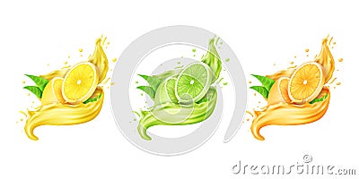 Citrus juice splash. Fresh orange, lemon and lime. Green and yellow fruits, juicy slice and liquid drink in motion Vector Illustration