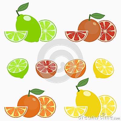 Citrus. Orange, lime, lemon, grapefruit. Set of whole fruit with slice, half and leaf. Vector Vector Illustration