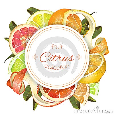 Citrus round banner Vector Illustration