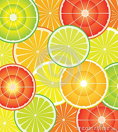 Citrus slices Vector Illustration