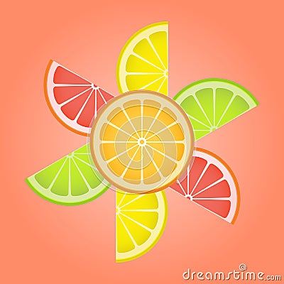 Citrus slices of lemon, kiwi, orange, grapefruit in the form of a flower Vector Illustration