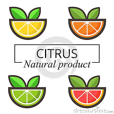 Citrus vector set with text Vector Illustration