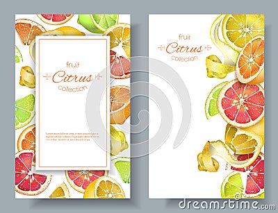 Citrus vertical banners Vector Illustration