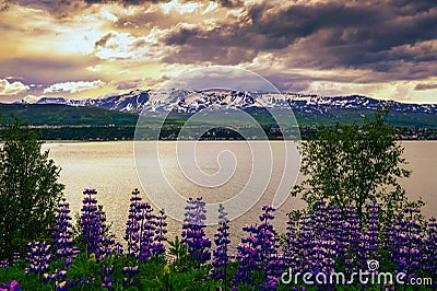 City of Akureyri with snowy mountains and fjord Eyjafjordur in northern Iceland Stock Photo