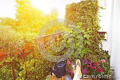 Balcony summer city feet pov Stock Photo