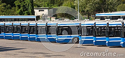 City buses / Public transport Stock Photo