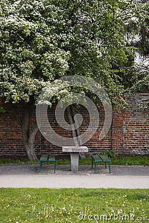 City improvement. Table for playing chess and seats without people outdoors in front of a red brick fence. Leisure for people Stock Photo