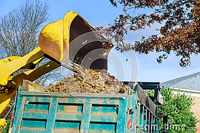 City improvement on teamwork cleaning autumn leaves in the with tractor fallen leaves into the car Stock Photo