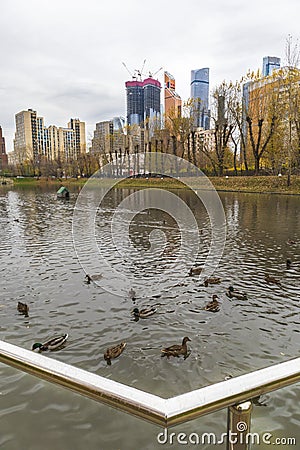 city modern architecture park with a lake urban nature Editorial Stock Photo