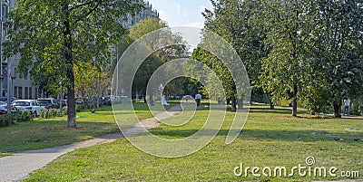 City the Moscow region , Beautiful Park trees. Editorial Stock Photo