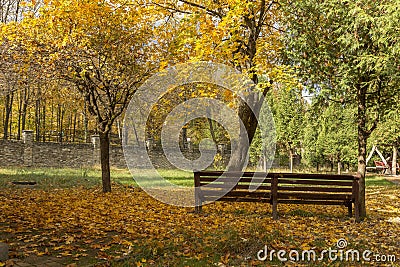 City park in autumn at the time of leaf fall. The problem of cleaning fallen leaves in the city. Wonderful autumn in the park with Stock Photo