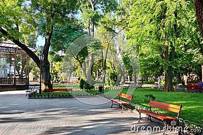 City park at center town, summer season, bright sunlight and shadows, beautiful landscape, home and people on street Stock Photo