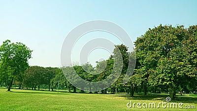 A city park with green surrounding. Stock Photo