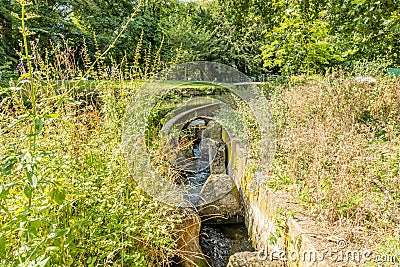 City park with its fish monitoring canal or fish transfer system on the Jeker river Stock Photo