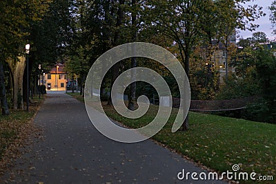 city park at night with lamps and boulevard with trees in south Stock Photo