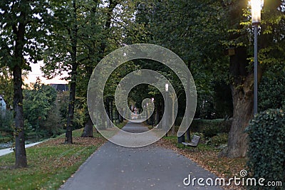 city park at night with lamps and boulevard with trees in south Stock Photo