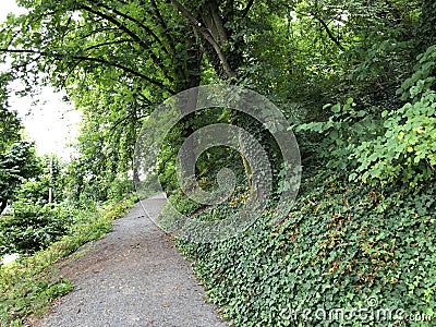 City Park and Old City promenade, Pozega - Slavonia, Croatia / Park pod gradom i Å¡etaliÅ¡te Stari grad, PoÅ¾ega - Hrvatska Stock Photo