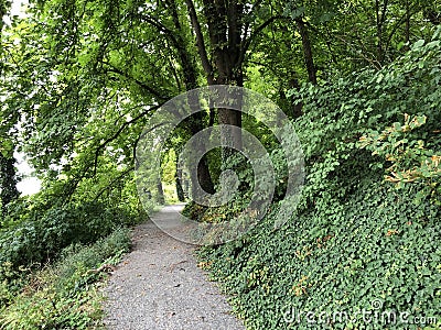 City Park and Old City promenade, Pozega - Slavonia, Croatia / Park pod gradom i Å¡etaliÅ¡te Stari grad, PoÅ¾ega - Hrvatska Stock Photo