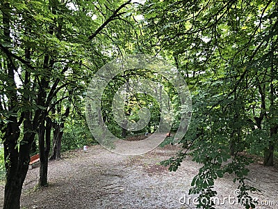 City Park and Old City promenade, Pozega - Slavonia, Croatia / Park pod gradom i Å¡etaliÅ¡te Stari grad, PoÅ¾ega - Hrvatska Stock Photo