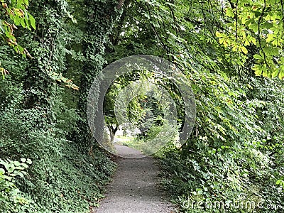 City Park and Old City promenade, Pozega - Slavonia, Croatia / Park pod gradom i Å¡etaliÅ¡te Stari grad, PoÅ¾ega - Hrvatska Stock Photo