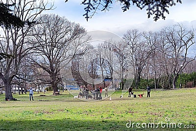 City park, people train their dogs in a specialized area Editorial Stock Photo