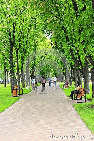 City park with promenade path benches and big green trees Editorial Stock Photo