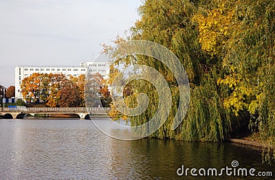 City pond Stock Photo