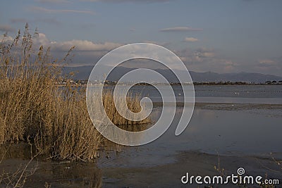 Â City of Quartu S.E., - Overview of the pond Molentargius Stock Photo