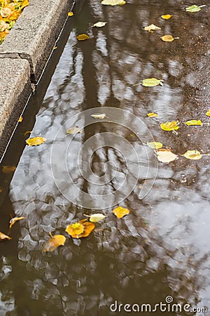 City sidewalk with puddle with trees, sky reflections. Yellow leaves falling in puddle. Sunny golden autumn weather Stock Photo