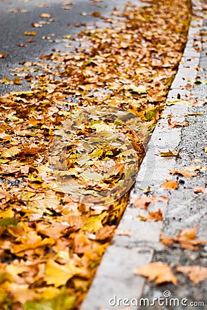 City street full of autumn leaves Stock Photo