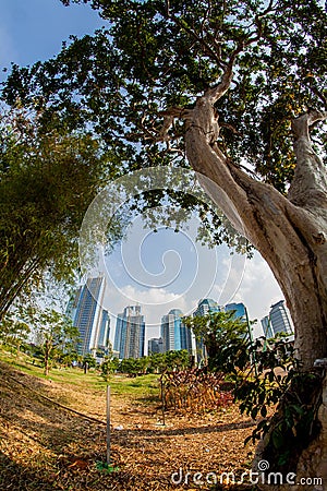 The city under the great nature Editorial Stock Photo