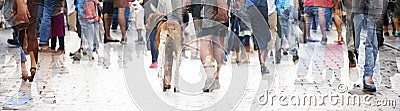 City walk, double exposure of a large crowd of people and a dog, abstract panorama bannerfor website header Stock Photo