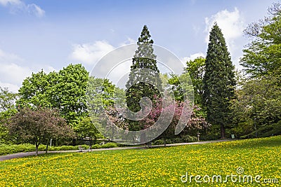 CityPark (Stadtgarten) in center of Freiburg im Breisgau, German Stock Photo