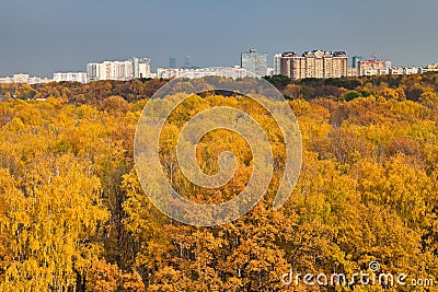 Cityscape with autumn urban park Stock Photo