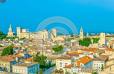 Cityscape of Avignon with Palais des Papes and Cathedral of Our Lady, France Stock Photo