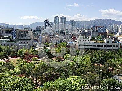 Cityscape of Green Forest Park and Modern Architecture Editorial Stock Photo