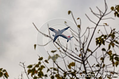 A civil airliner flies in the sky Stock Photo