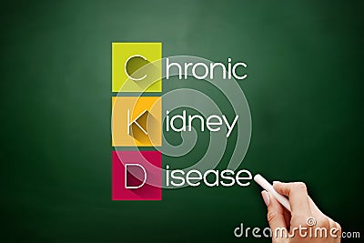 CKD - Chronic Kidney Disease, acronym concept Stock Photo