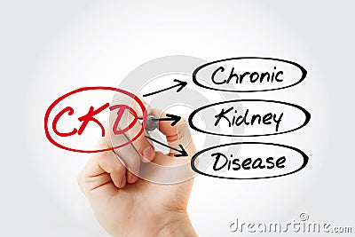 CKD - Chronic Kidney Disease acronym, medical concept background Stock Photo