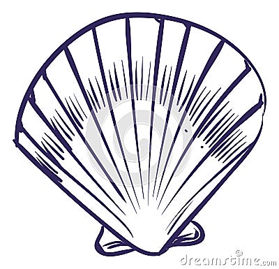 Clam sketch. Closed seashell in hand drawn style Vector Illustration