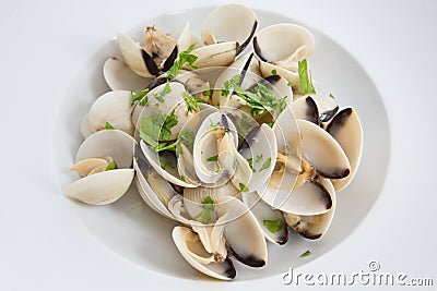 Clams Stock Photo