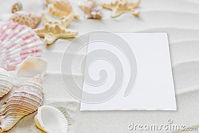 Clams, starfishes and paper card on thesea sand Stock Photo