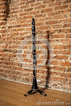 The clarinet within the orchestra is in the woodwind section, along with the flute, oboe, saxophone and bassoon Stock Photo